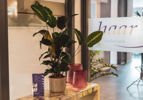 Haarinstituut Nederland - Specialist in haarwerken - Onze salon 6